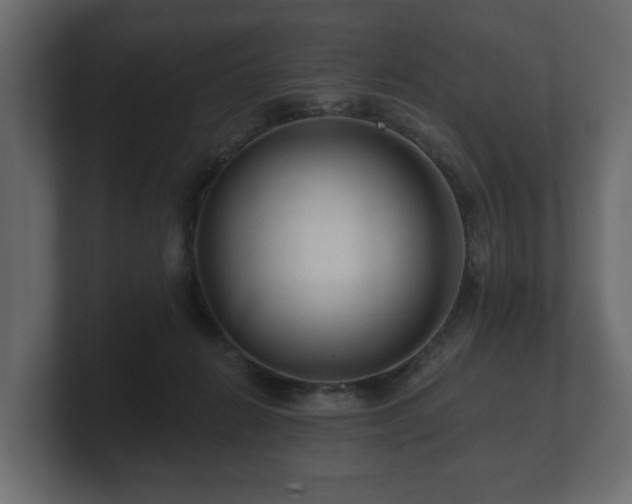 X0000100750270200806261550