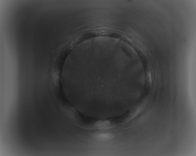 X0000100750271200806261550