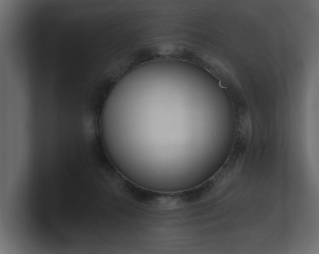 X0000100750272200806261550