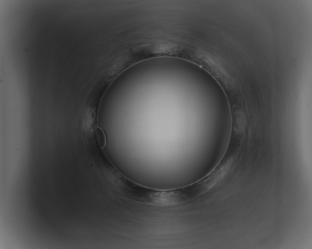 X0000100750273200806261550