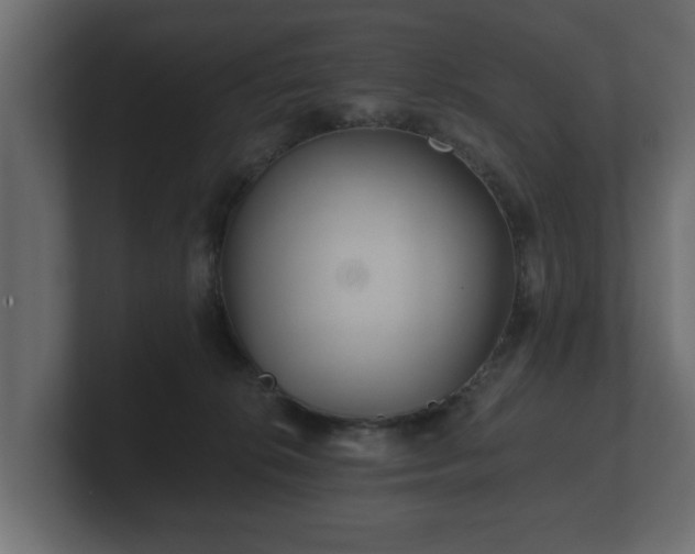 X0000100750276200806261550