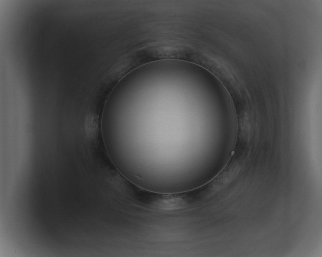 X0000100750278200806261550