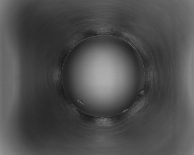 X0000100750281200806261550