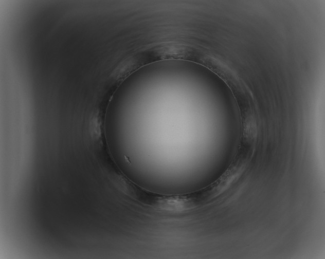 X0000100750282200806261550