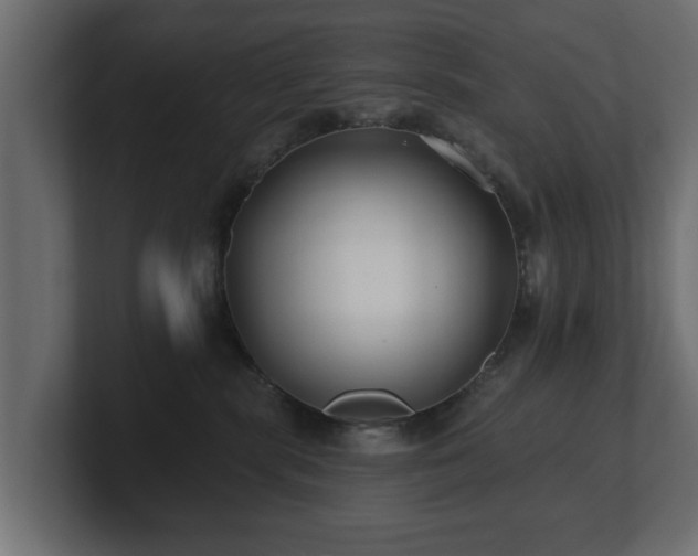 X0000100750283200806261550