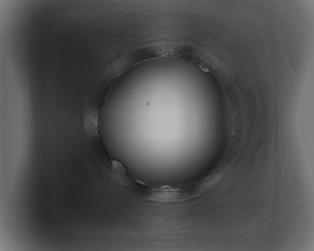 X0000100750288200806261550