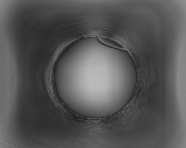 X0000100750289200806261549