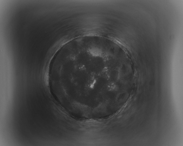 X0000100750290200806261549