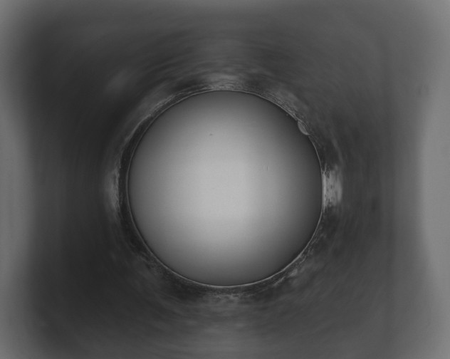 X0000100750291200806261549