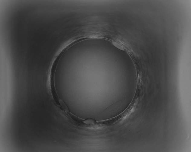 X0000100750292200806261549