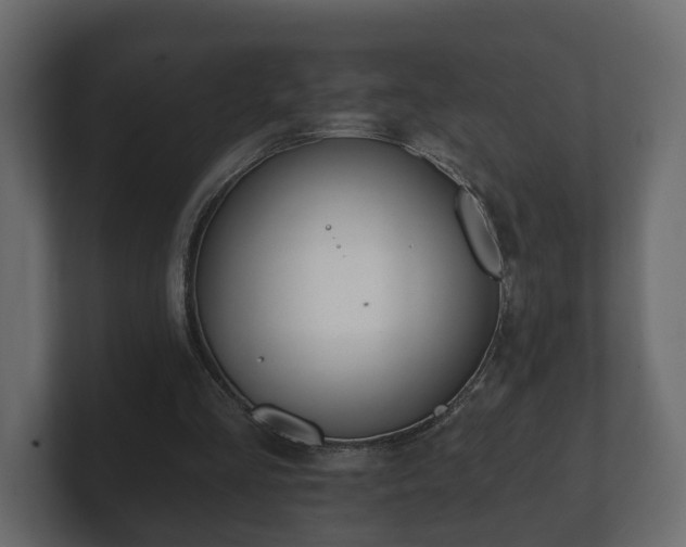 X0000100750293200806261549