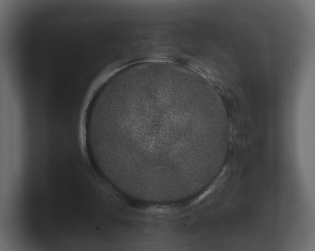 X0000100750294200806261549