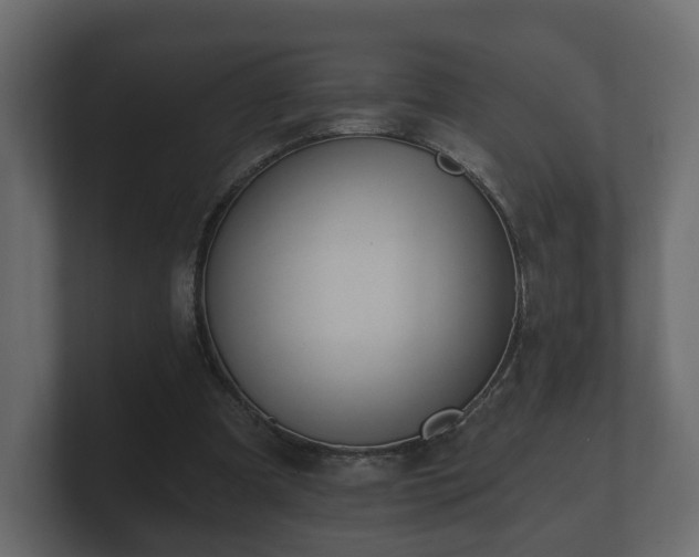 X0000100750297200806261549