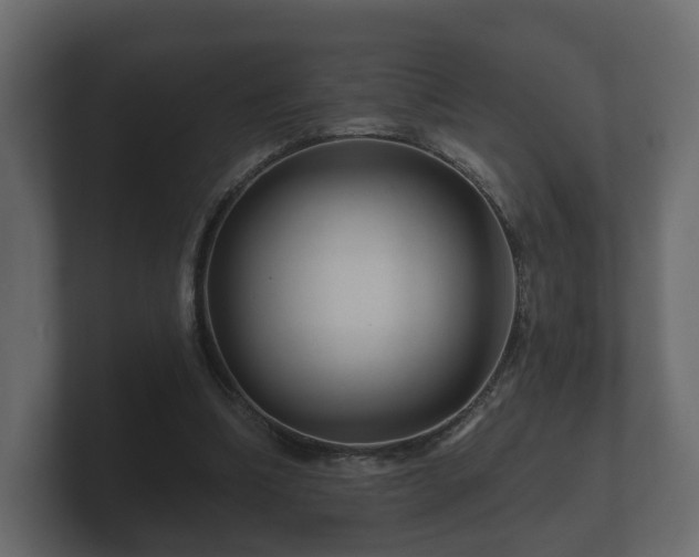 X0000100750298200806261549