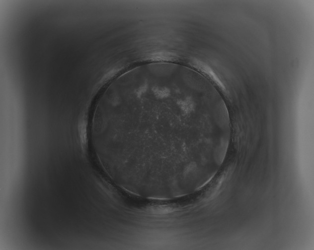 X0000100750299200806261549