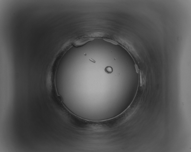 X0000100750300200806261549