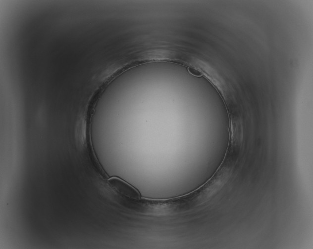 X0000100750301200806261549