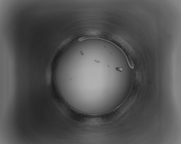 X0000100750304200806261549