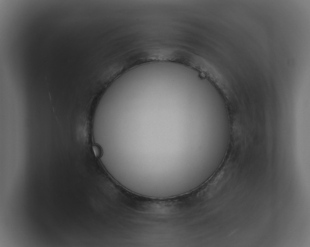 X0000100750305200806261549