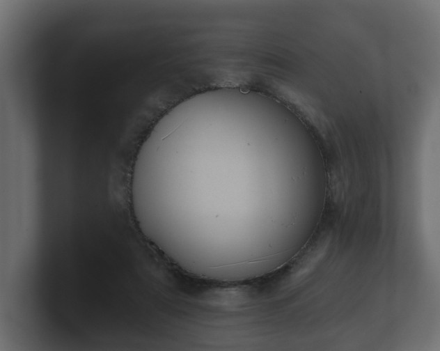 X0000100750307200806261549