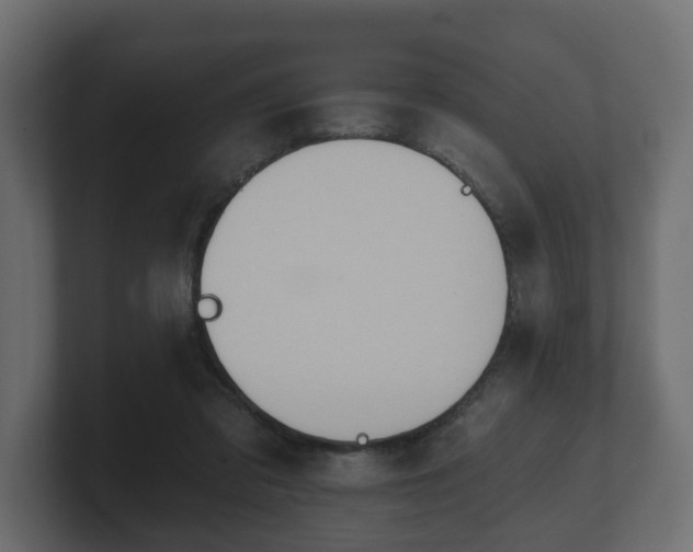 X0000100750309200806261549