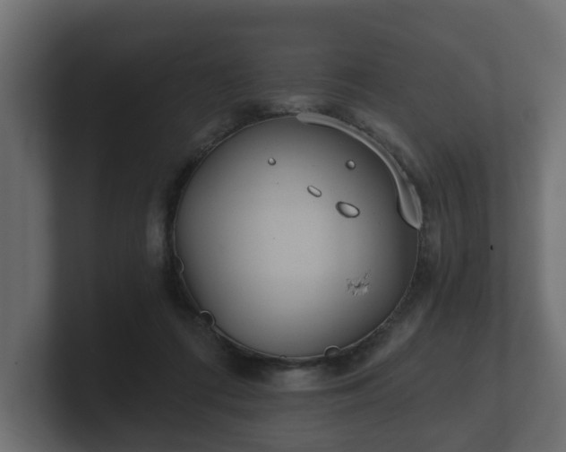 X0000100750312200806261549