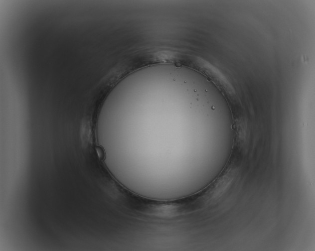 X0000100750313200806261549