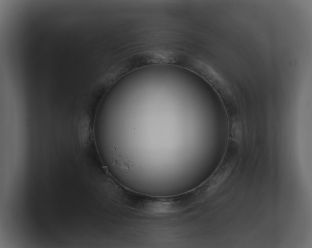 X0000100750318200806261549