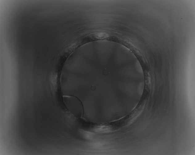 X0000100750319200806261549