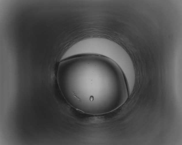 X0000100750320200806261549