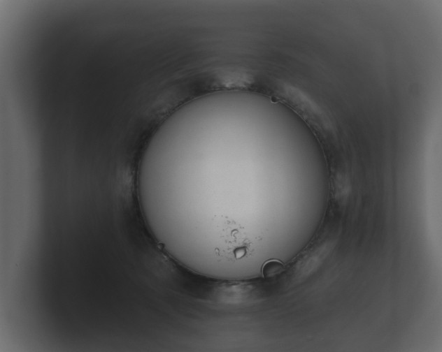 X0000100750321200806261549