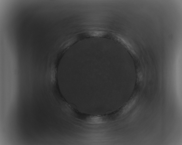 X0000100750325200806261549