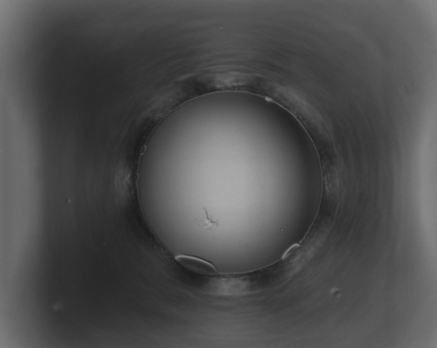 X0000100750327200806261549