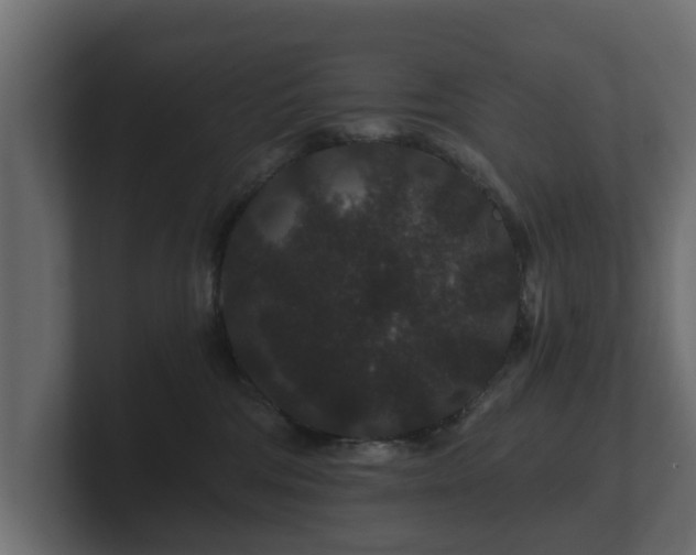 X0000100750330200806261549