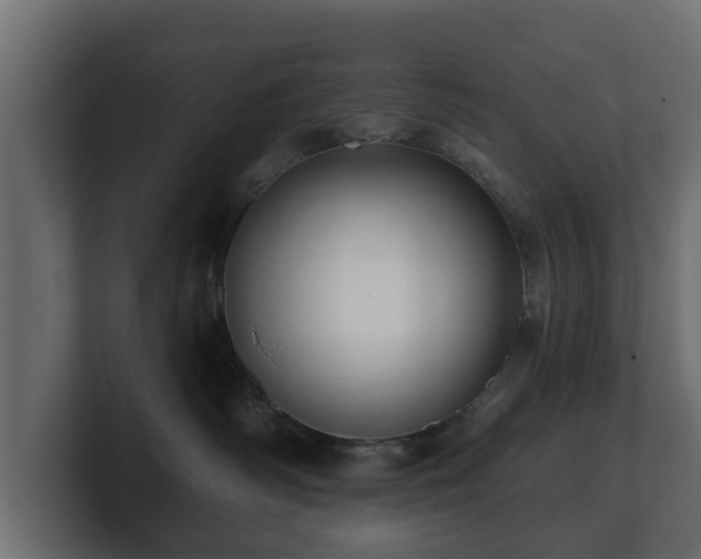 X0000100750334200806261549