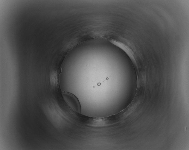 X0000100750335200806261549