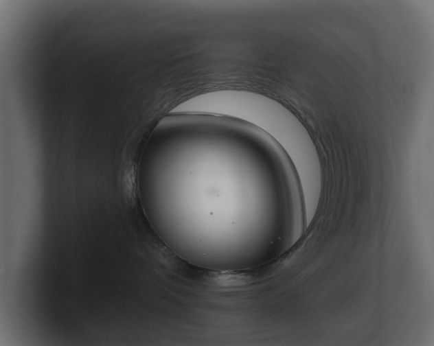 X0000100750336200806261549