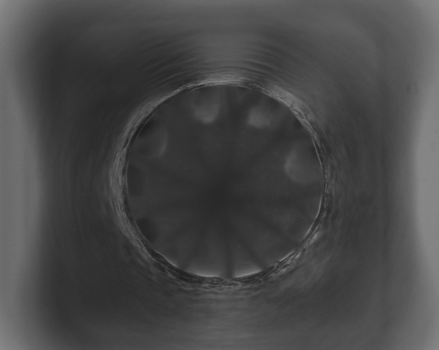 X0000100750337200806261548