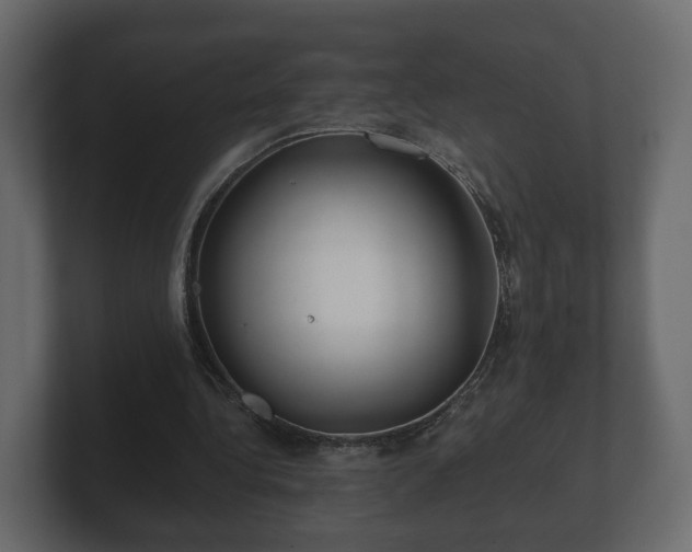 X0000100750340200806261548