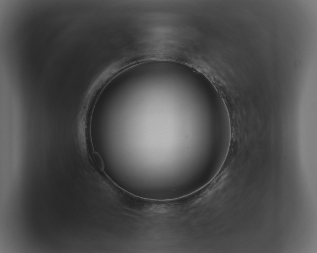 X0000100750341200806261548