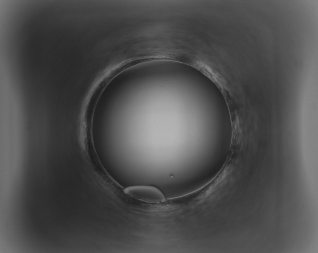 X0000100750342200806261548