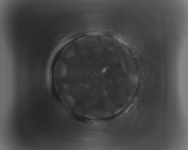 X0000100750343200806261548