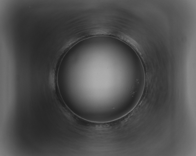 X0000100750345200806261548