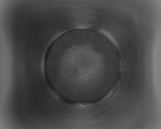 X0000100750346200806261548