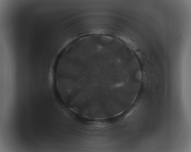 X0000100750347200806261548