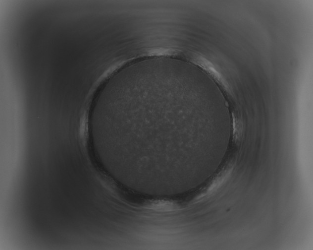 X0000100750348200806261548