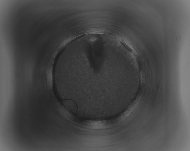 X0000100750349200806261548