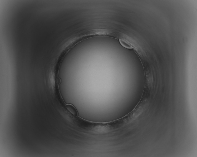 X0000100750350200806261548