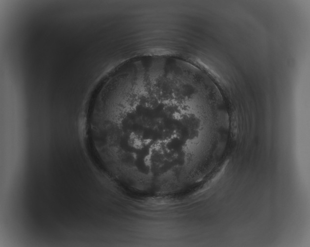 X0000100750351200806261548