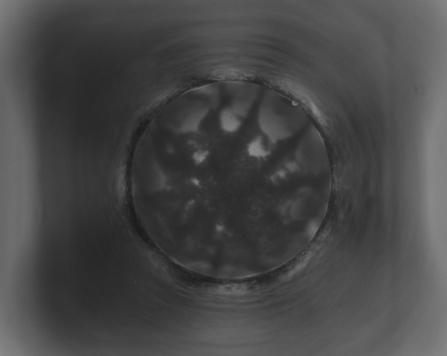 X0000100750353200806261548